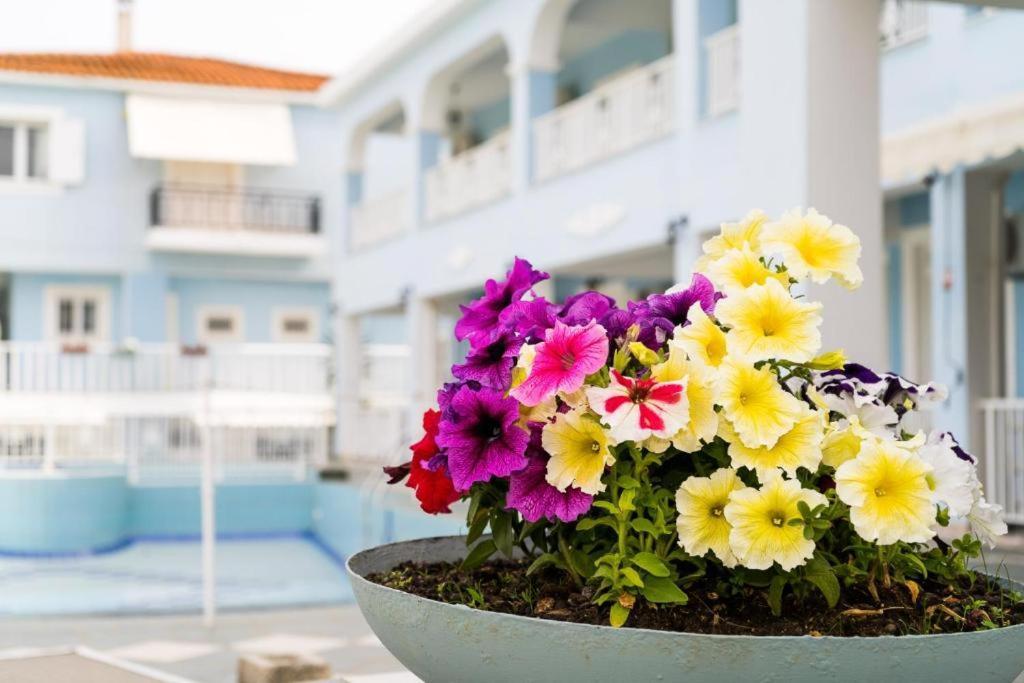 Anna'S Studios & Apartments Zakynthos Town Exterior foto