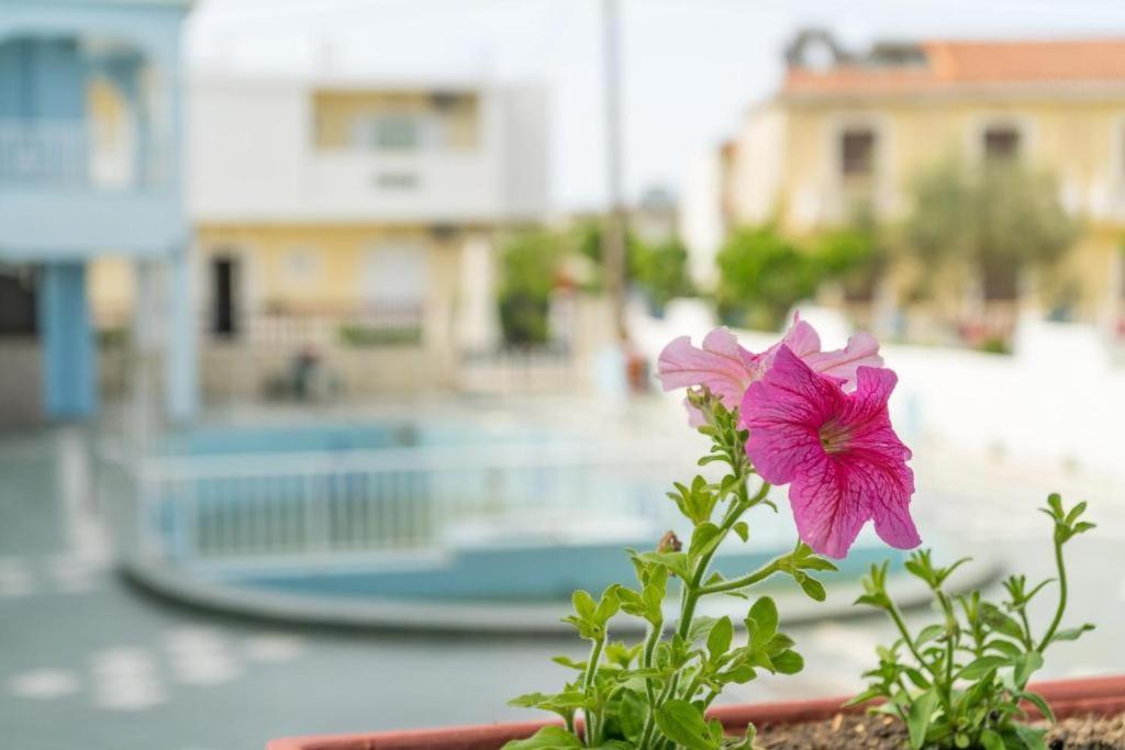 Anna'S Studios & Apartments Zakynthos Town Exterior foto